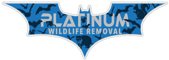 Saint Clair County Animal Removal